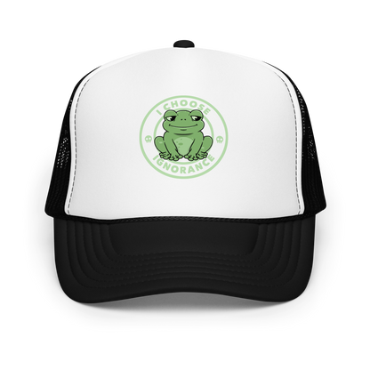 The image shows a cartoonish green frog with a sly smile, sitting with legs splayed out. Around it, the phrase 'I CHOOSE IGNORANCE' is written in bold letters. Two small skull designs are included, one on each side of the frog. The style is playful and ironic, blending elements of humor and rebellion.