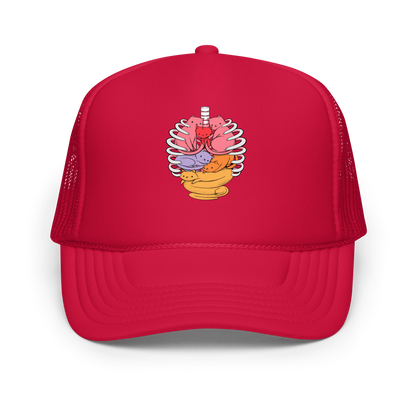 The image features a unique and colorful illustration of six whimsical cats nestled within and around a human ribcage. Each cat is a different bright color, ranging from pink and purple to orange and yellow, creating a visually appealing and vibrant composition. The use of contrasting colors and playful subject matter gives it a charming and eye-catching style.