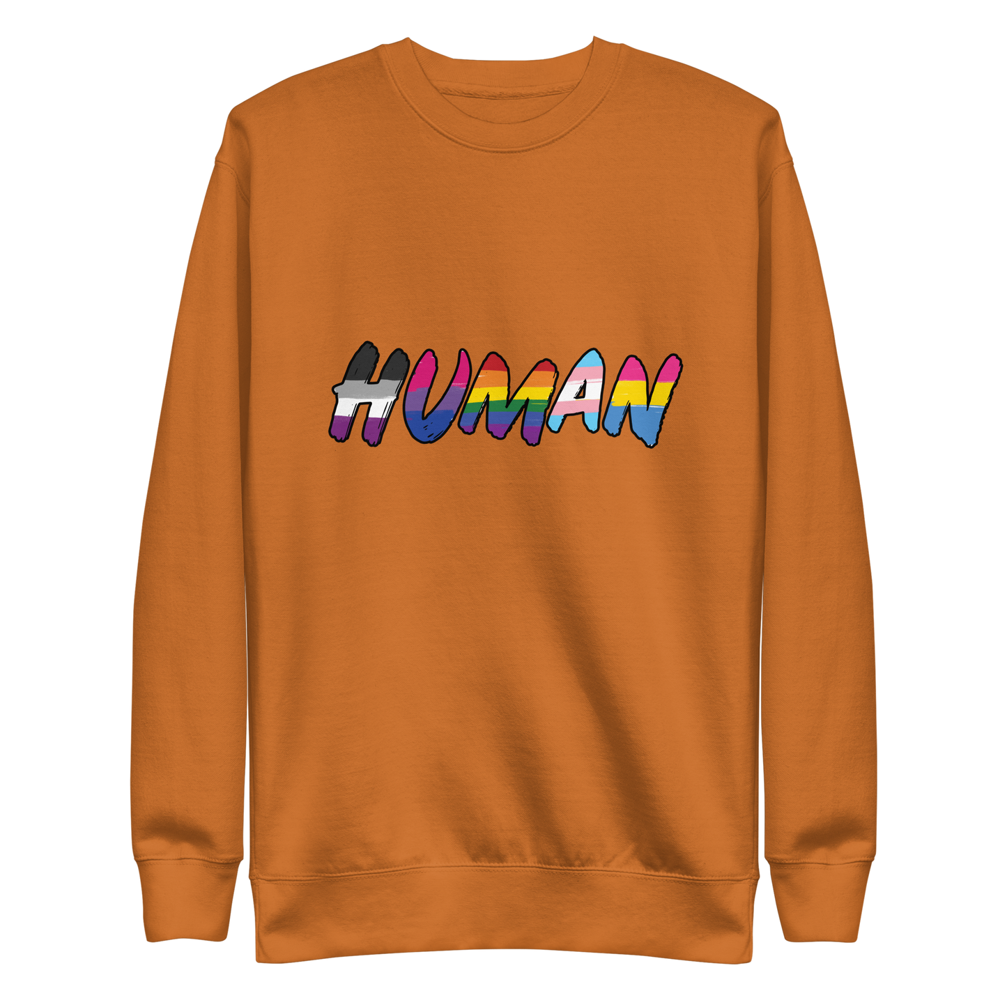 The image displays the word 'HUMAN' in bold, capitalized letters filled with colorful pride flag patterns. The colors within the letters represent different LGBTQ+ pride flags, symbolizing inclusivity and diversity. The background is solid black, which makes the colorful patterns stand out more vibrantly.