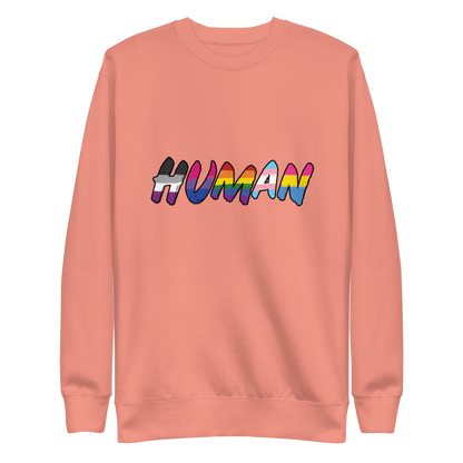 The image displays the word 'HUMAN' in bold, capitalized letters filled with colorful pride flag patterns. The colors within the letters represent different LGBTQ+ pride flags, symbolizing inclusivity and diversity. The background is solid black, which makes the colorful patterns stand out more vibrantly.